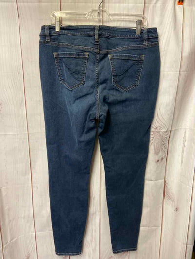 Lane Bryant Women's Size 32 (13-14) Blue Jeans