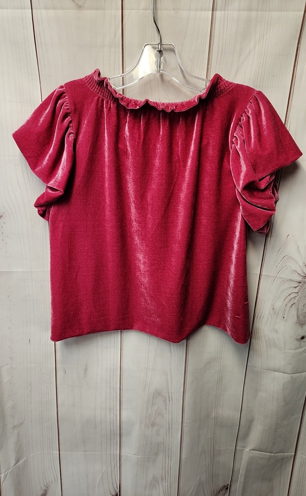 Free People Women's Size XS Pink Velour Short Sleeve Top