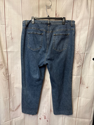 INC Women's Size 18W Jeans