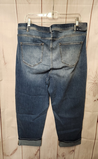 J Jill Women's Size 18 Petite High Rise Straight Leg Ankle Blue Jeans NWT